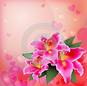 Pink lily on a soft background.