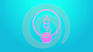 Pink line Gluten free grain icon isolated on blue background. No wheat sign. Food intolerance symbols. 4K Video motion