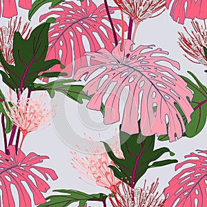 Pink line protea flowers with exotic pink monstera and green tropical leaves, light blue background. Floral seamless pattern.