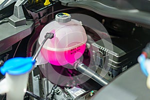 Pink Liquid Antifreeze in Coolant Tank photo