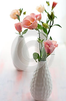 Pink lisianthus