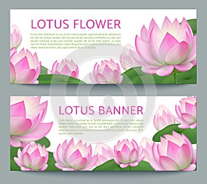 Růžový. realistický rybník voda květina. léčba léčení zahrada vektor reklamní formát primárně určen pro použití na webových stránkách sada lotosy 