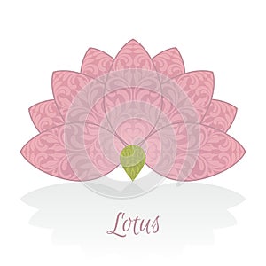 Pink lotus flower with ornate pattern on petals isolated on white background