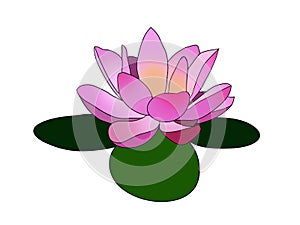 Pink lotus / Lilly flower on three green leaves logo design illustration