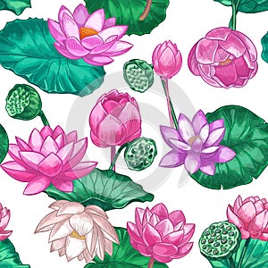 Pink lotus seamless pattern. Gentle water lily flowers, pink lotus. Decorative tropical design for ayurveda care