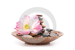 Pink lotus and stones in a wooden bowl isolated on white background