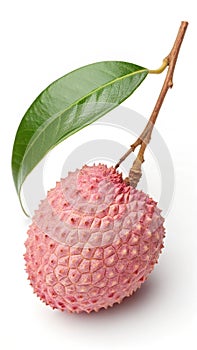 Pink lychee fruit bumpy skin green leaf image