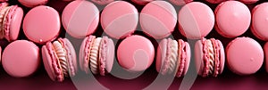 Pink Macarons Cake on Pink Background - Exquisite Dessert Photography Panoramic