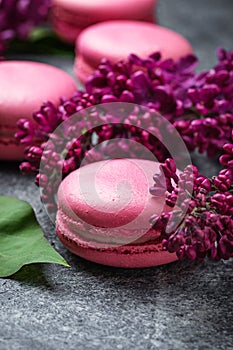 Pink macaroons and lilac.