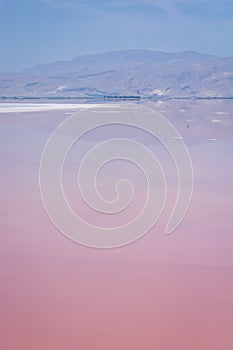Pink Maharloo Lake near Shiraz, Iran