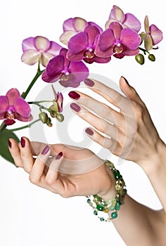 Pink manicure, orchid, green beads