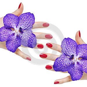 Pink manicure and orchids