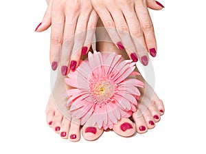 Pink manicure and pedicure with a flower