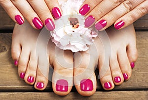 Pink manicure and pedicure with flower close-up, on a wooden background, top view