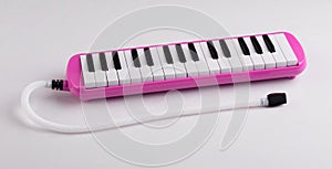 Pink melodeon music instrument