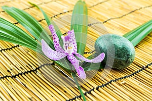 Pink mokara orchids with egg shape stone and green leaf on bamb