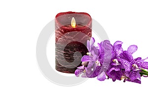 Pink mokara orchids with electrical candle isolated on white background