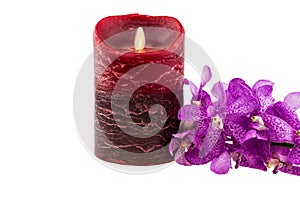 Pink mokara orchids with electrical candle isolated on white background