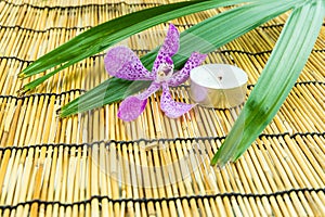 Pink mokara orchids with green leaf and tea light on bamboo back