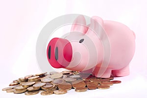 Pink money piggy bank saving euro coins