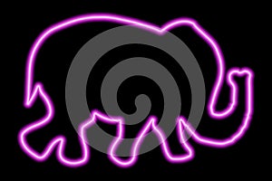 Pink neon force of walking elephant on a black background