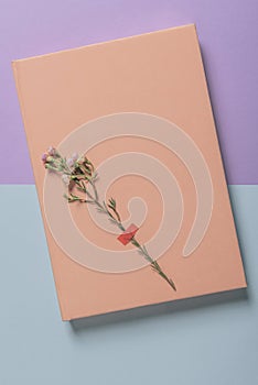 Pink notebook and a single flower on a bicolored background