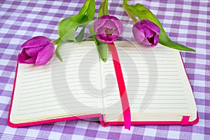 Pink notepad with lined paper and three purple tulips on a white purple checkered textile background. Romantic greeting card with