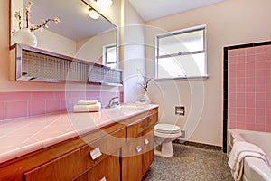 PInk old bathroom interior with tub.