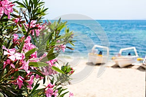 Pink oleander flowers, blue sea and boats summer background