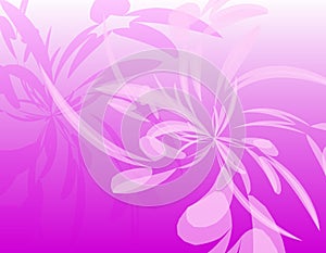 Pink Opaque Wispy Feathers Background