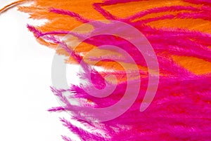 Pink Orange feather