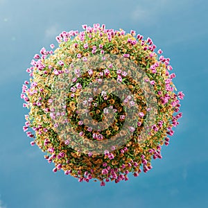 Pink and orange flower Little Planet