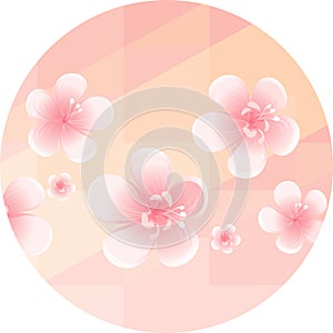 Pink Orange flowers isolated on soft Light Orange polygonal background in circle. Apple-tree flowers. Cherry blossom. Vector EPS 1