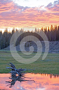 Pink and orange Sunrise cloudscape over Pelican Creek in Yellowstone National Park USA