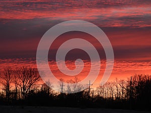 Pink and orange sunset behind country tree line in winter