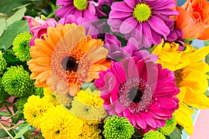 Pink and orange Transvaal daisy`s in bunch of flowers.