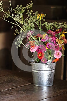 Pink, orange, and yellow zinnia flowers and white fennel in silver tin pot on dark brown wood table