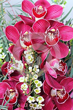Pink Orchid Cymbidium Flowers Bouquet