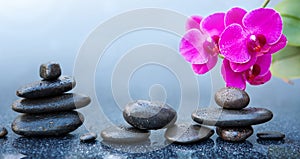 Pink orchid flowers and black spa stones on the gray table background.