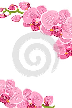 Pink orchid flowers border frame template card