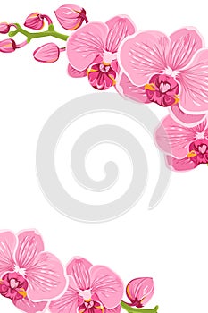 Pink orchid flowers border frame template card photo