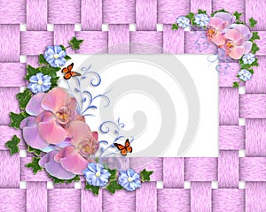 Pink orchids border