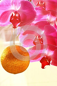 Pink orchids and decoration