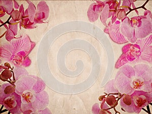 Pink orchids on retro grunge background