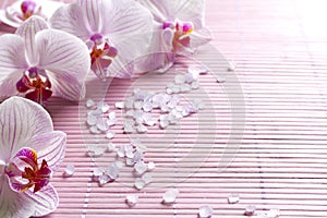 Pink orchids and spa aromatherapy abstract still life