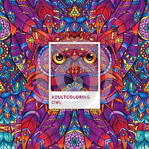 Pink owl adult colouring illustration