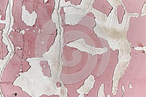 Pink painted scratched background. Old wall with pink paint and grey stucco texture. Retro vintage worn wall wallpaper