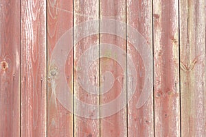 Pink painted wood wall texture or background. Brown wood texture background coming from natural tree. The wooden panel