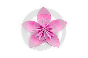 Pink paper origami flower on white background