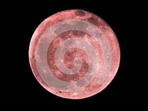 Pink Paschal full Moon in the night sky